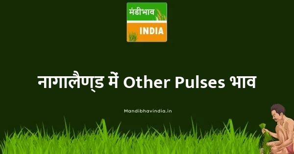 Other Pulses भाव